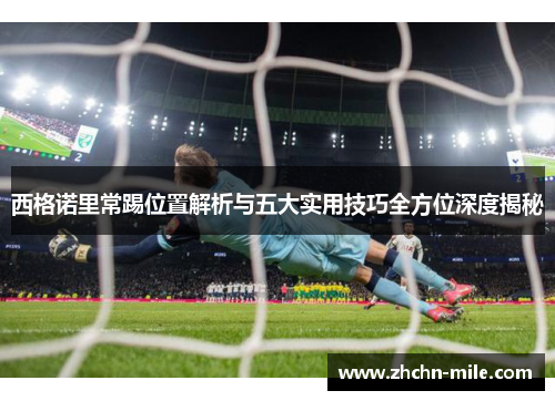西格诺里常踢位置解析与五大实用技巧全方位深度揭秘
