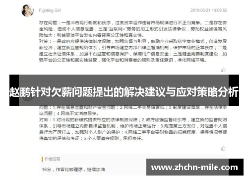 赵鹏针对欠薪问题提出的解决建议与应对策略分析