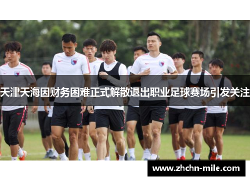 天津天海因财务困难正式解散退出职业足球赛场引发关注