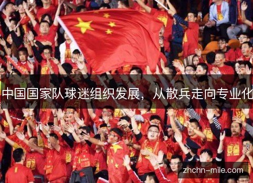 中国国家队球迷组织发展，从散兵走向专业化